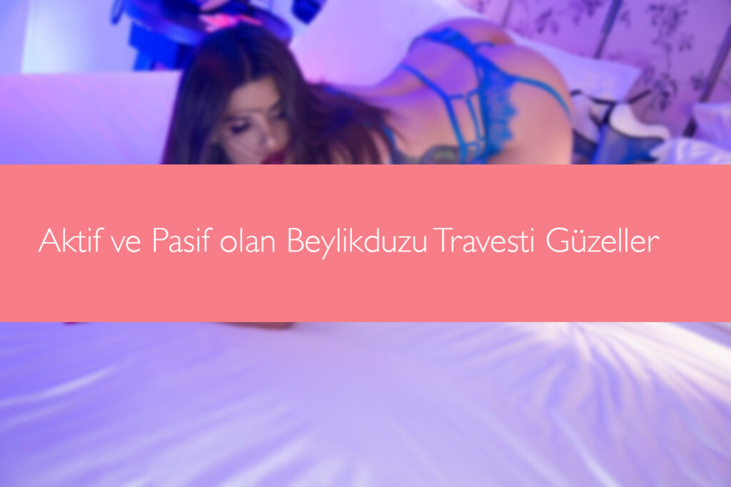 Aktif ve Pasif Beylikduzu Travesti